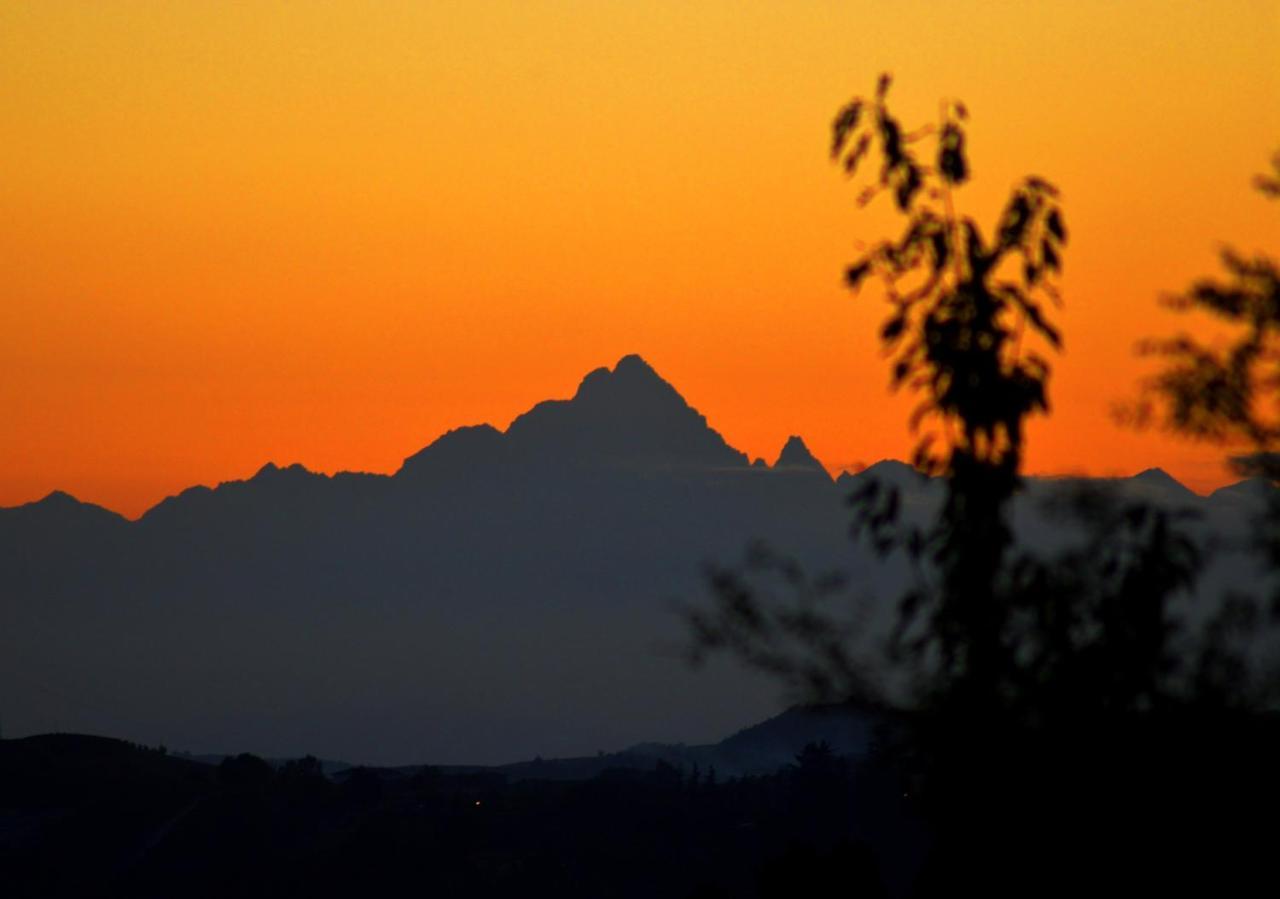 Bed & Tours Dimora Di Campagna Bed & Breakfast Castelnuovo Belbo Exterior photo