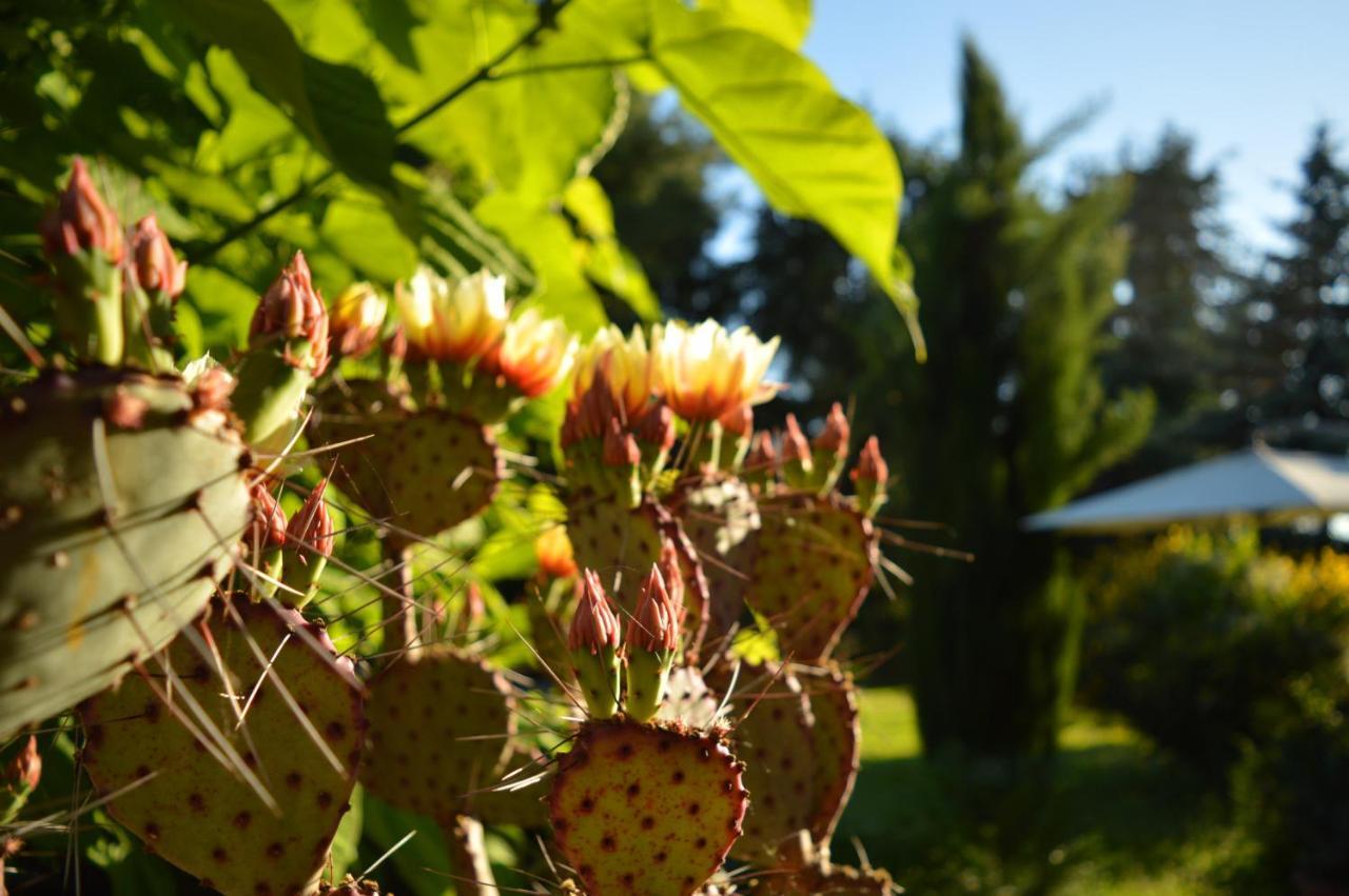 Bed & Tours Dimora Di Campagna Bed & Breakfast Castelnuovo Belbo Exterior photo