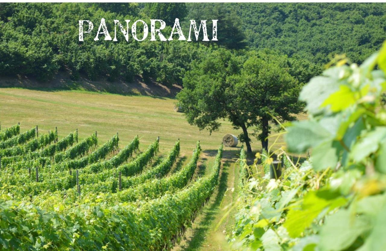 Bed & Tours Dimora Di Campagna Bed & Breakfast Castelnuovo Belbo Exterior photo