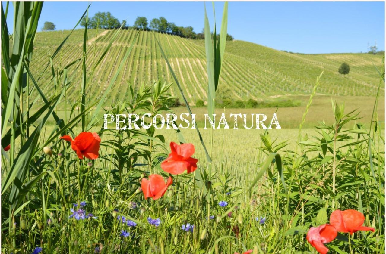 Bed & Tours Dimora Di Campagna Bed & Breakfast Castelnuovo Belbo Exterior photo