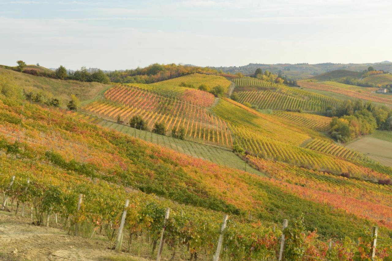 Bed & Tours Dimora Di Campagna Bed & Breakfast Castelnuovo Belbo Exterior photo