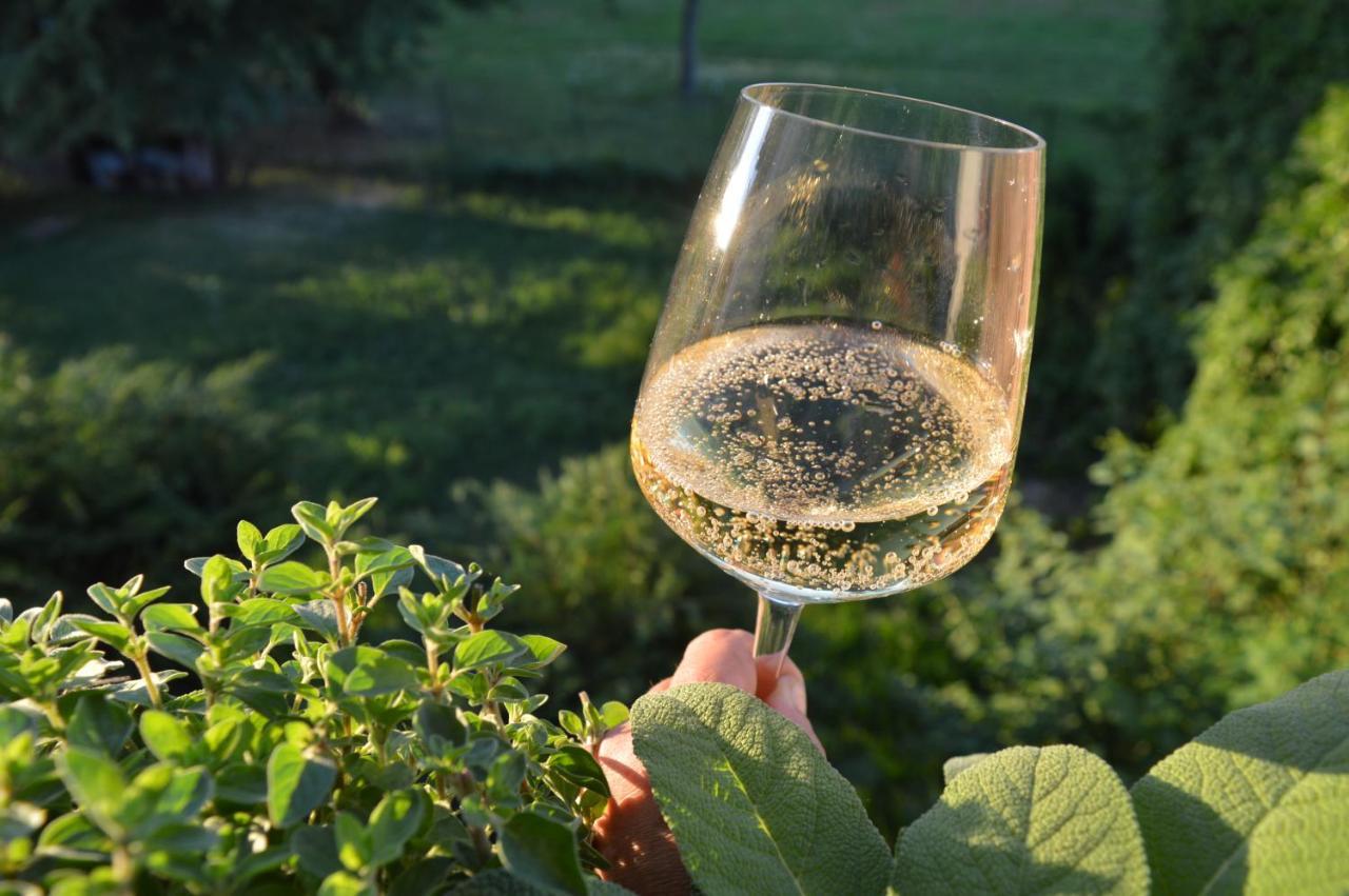 Bed & Tours Dimora Di Campagna Bed & Breakfast Castelnuovo Belbo Exterior photo