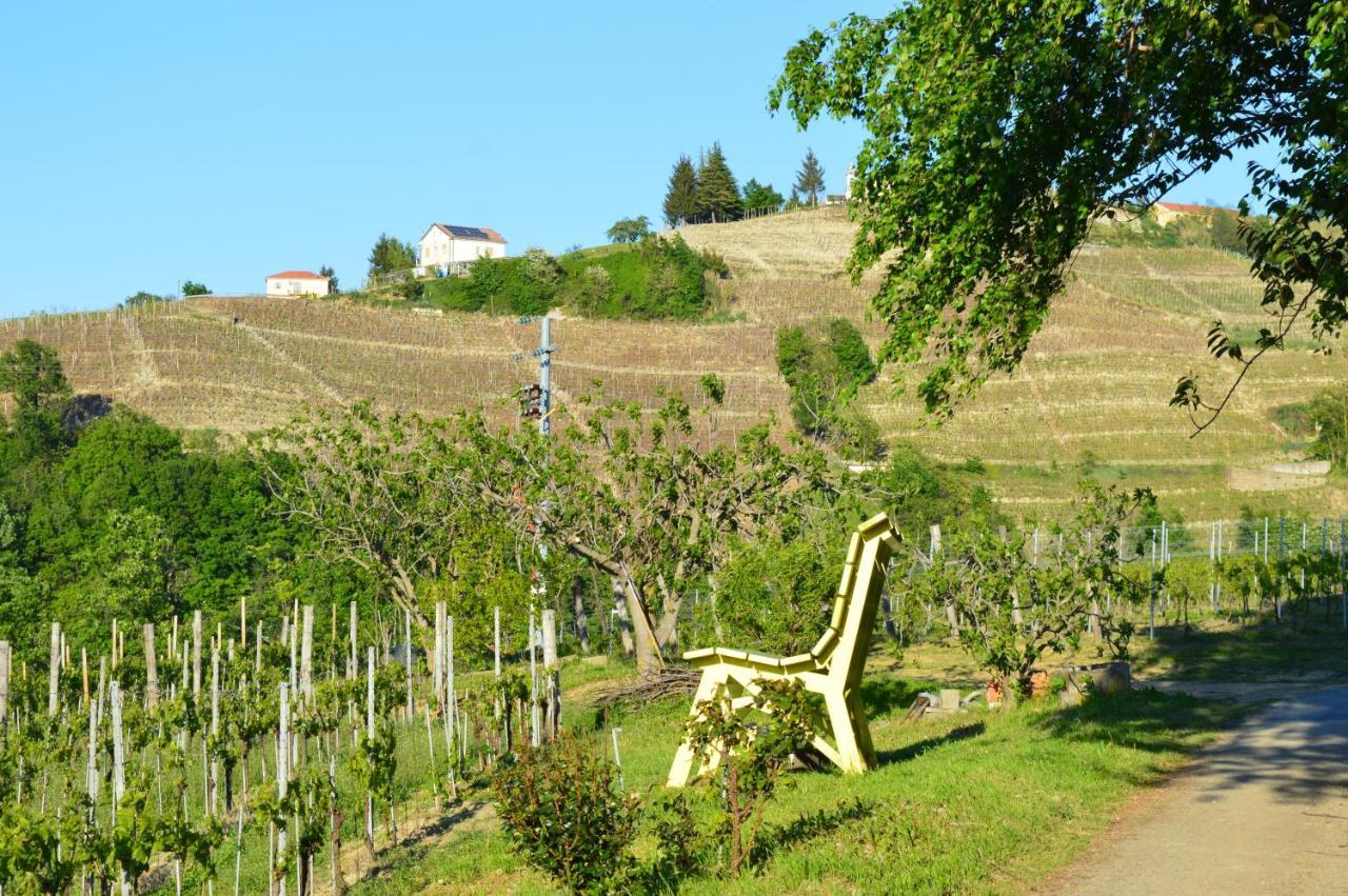 Bed & Tours Dimora Di Campagna Bed & Breakfast Castelnuovo Belbo Exterior photo