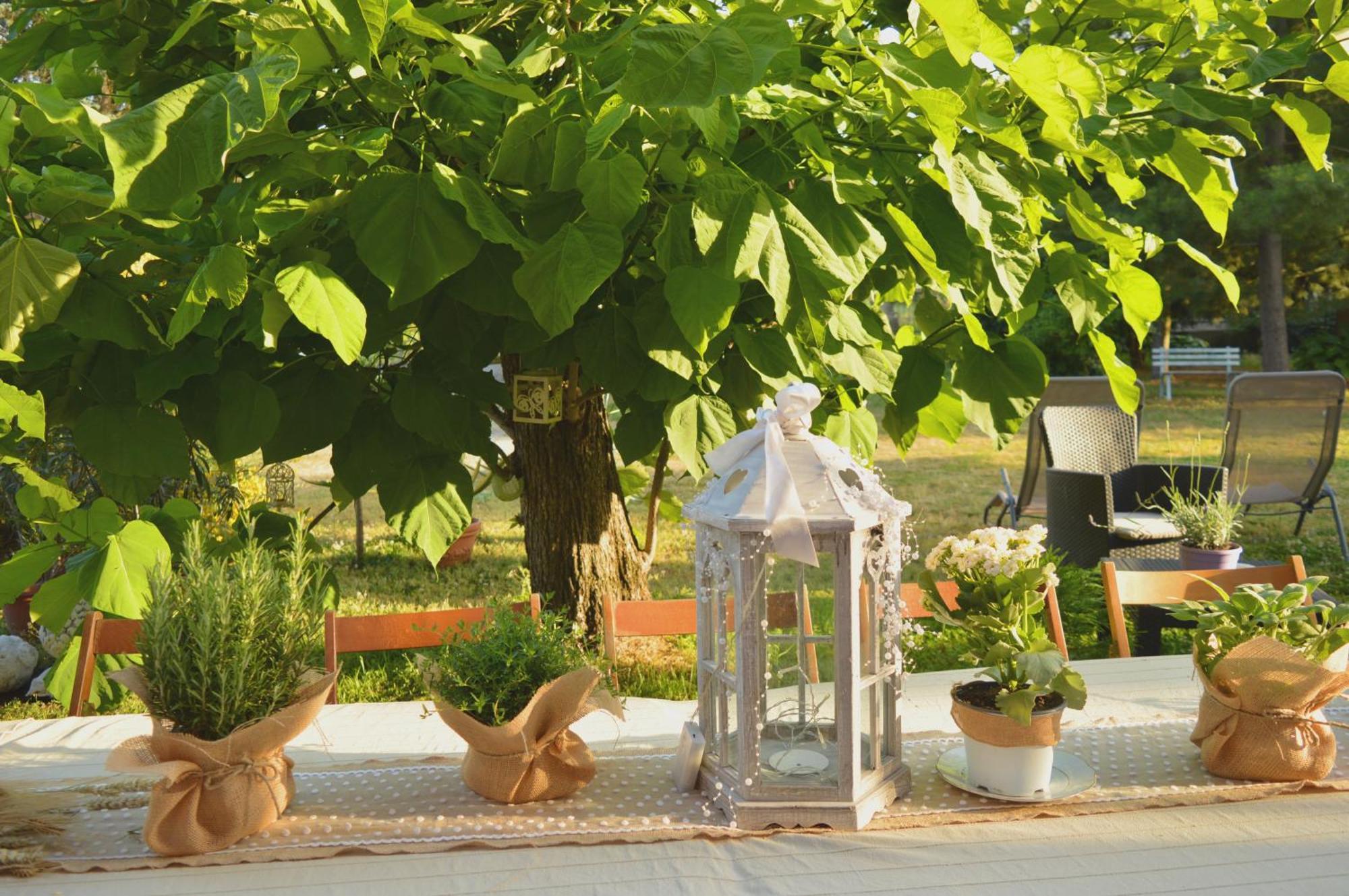 Bed & Tours Dimora Di Campagna Bed & Breakfast Castelnuovo Belbo Exterior photo